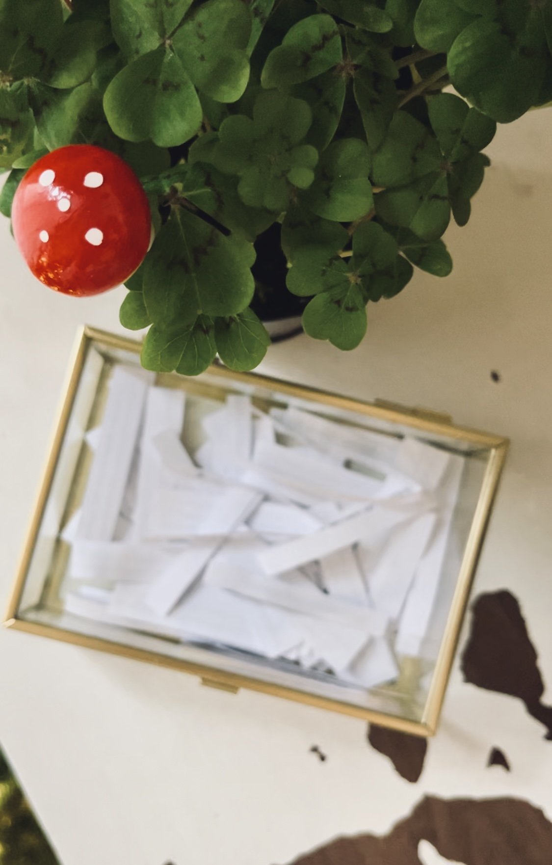 Vegan durch 2024! 52 vegane Ideen für das neue Jahr (gratis Download)